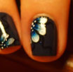 Nail art fleurs bleues